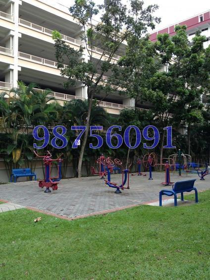 Blk 202 Choa Chu Kang Avenue 1 (Choa Chu Kang), HDB 4 Rooms #146893412